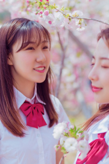 二炮手电视剧全集免费